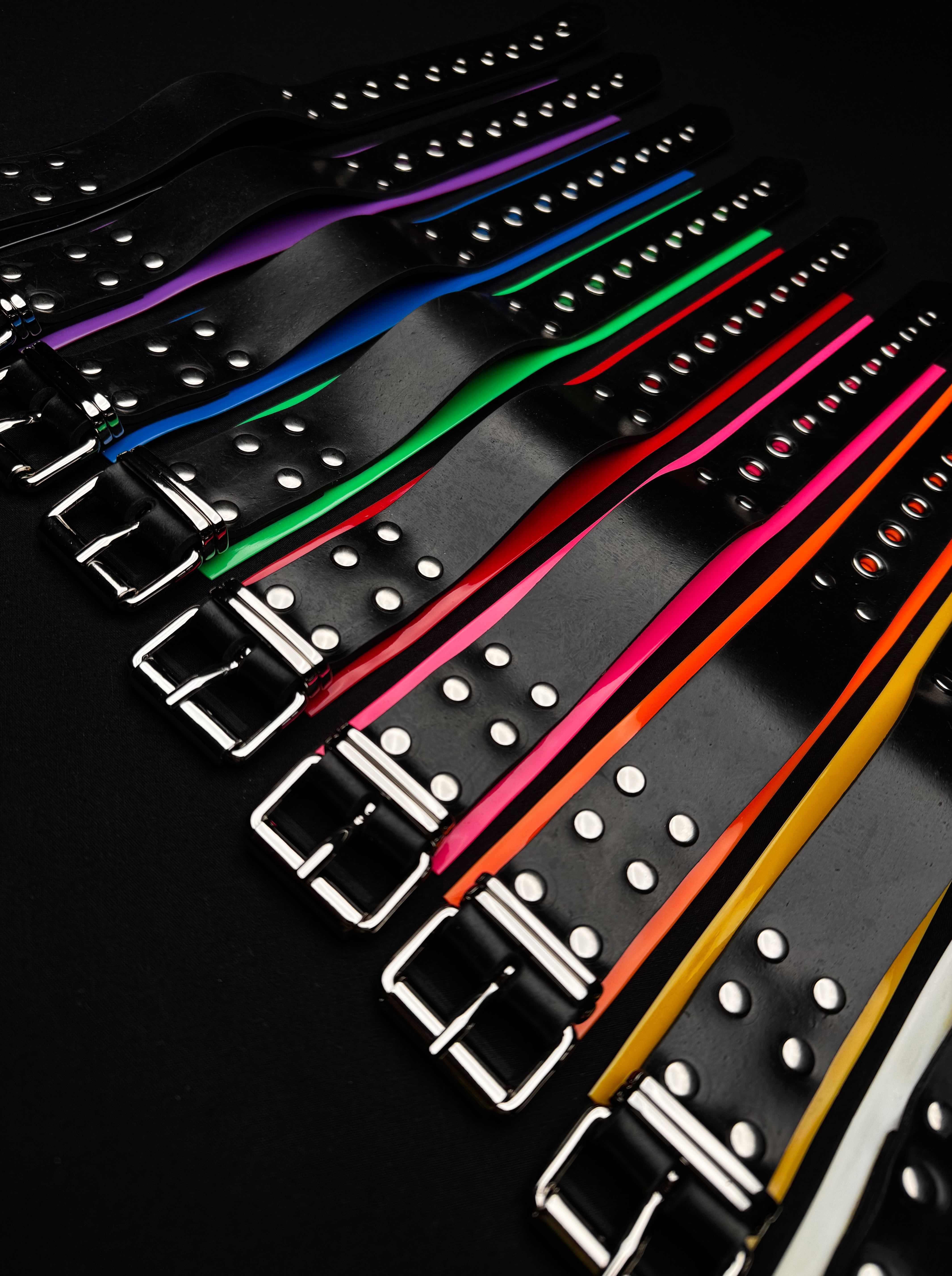 BP102-Black-Paws-Product BP102-Black-Paws-Product