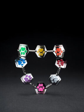 BP59-Black-Paws-Landing